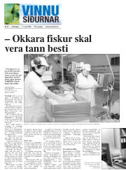 Síða 22