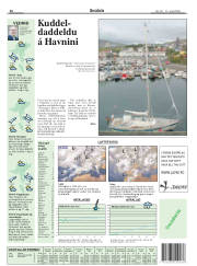 Síða 36