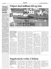 Síða 20