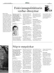 Síða 41