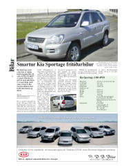 Síða 6