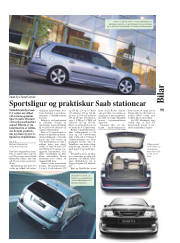 Síða 11