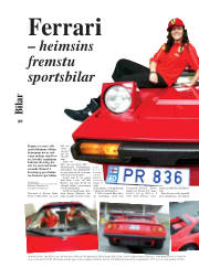 Síða 20