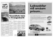 Síða 3