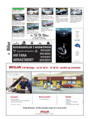 Síða 28