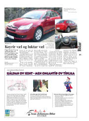 Síða 31