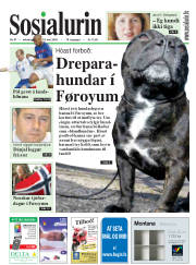 Síða 1