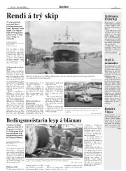 Síða 9