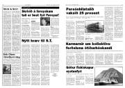 Síða 6