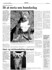 Síða 5