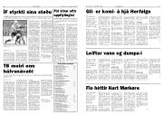 Síða 11