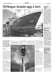 Síða 17