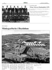 Síða 14