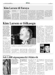 Síða 17