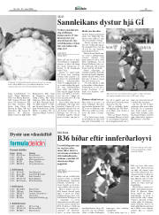 Síða 19