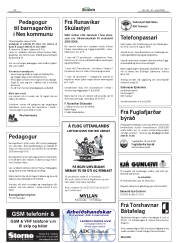 Síða 22