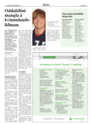 Síða 25