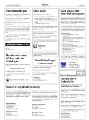Síða 43
