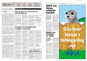 Síða 2