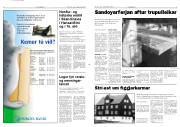 Síða 3