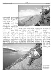 Síða 15