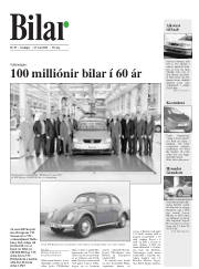 Síða 17