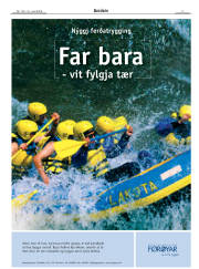 Síða 3