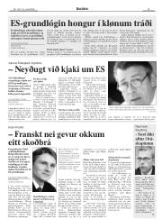 Síða 15