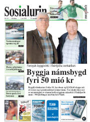 Síða 1