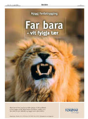 Síða 3