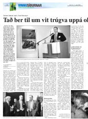Síða 20