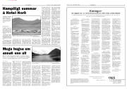 Síða 3