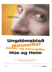 Síða 16