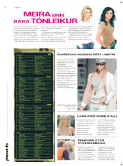 Síða 2