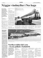 Síða 6