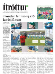 Síða 19