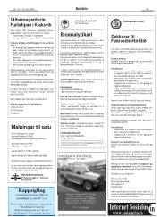 Síða 33