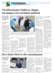 Síða 20