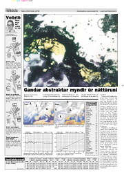Síða 13