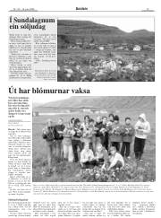 Síða 13