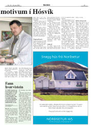 Síða 19