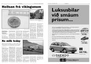 Síða 3