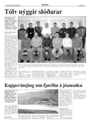 Síða 29