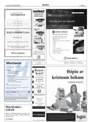 Síða 33