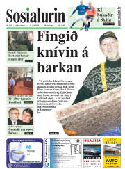 Síða 1