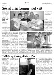 Síða 8
