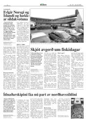 Síða 6