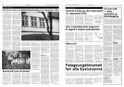 Síða 8