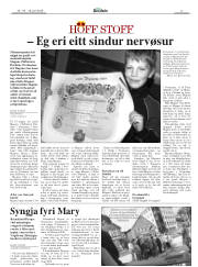 Síða 17