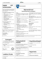 Síða 43